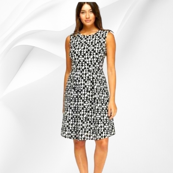 Plus-Size Printed Box Pleated Skater Dress - Picture 1 of 6